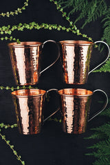 Classic Jar Set With 4 Glasses 0175