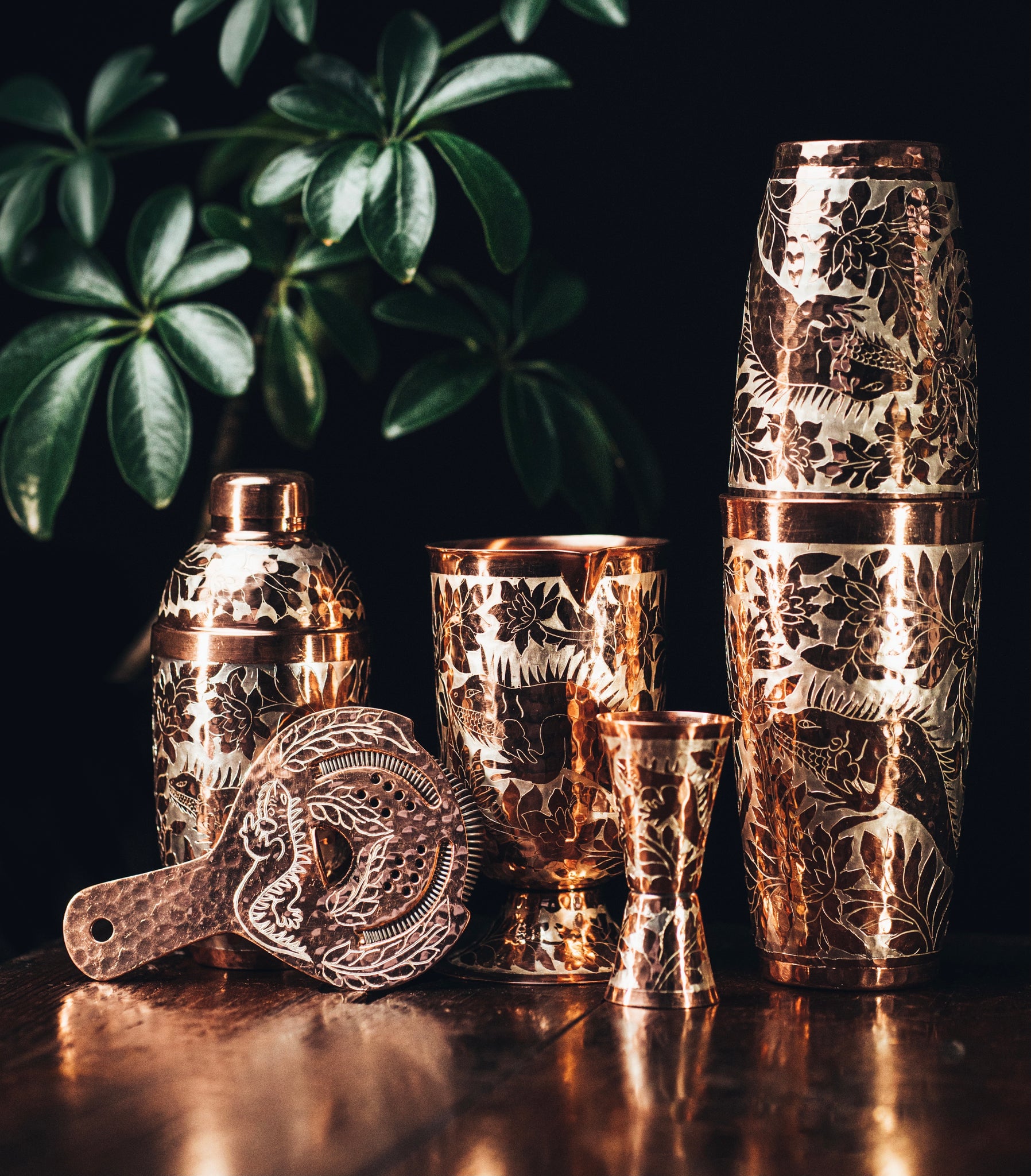 Limited Edition Iguana Silver Engraved Set